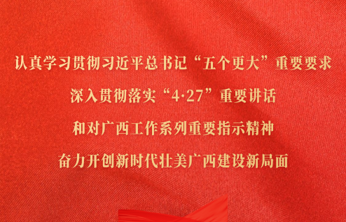 認(rèn)真學(xué)習(xí)貫徹習(xí)近平總書(shū)記“五個(gè)更大”重要要求，深入貫徹落實(shí)“4·27”重要講話(huà)和對(duì)廣西工作系列重要指示精神，奮力開(kāi)創(chuàng)新時(shí)代壯美廣西建設(shè)新局面